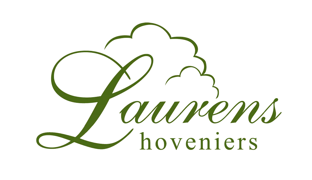 Laurens Hoveniers