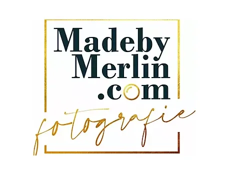 Made by Merlin